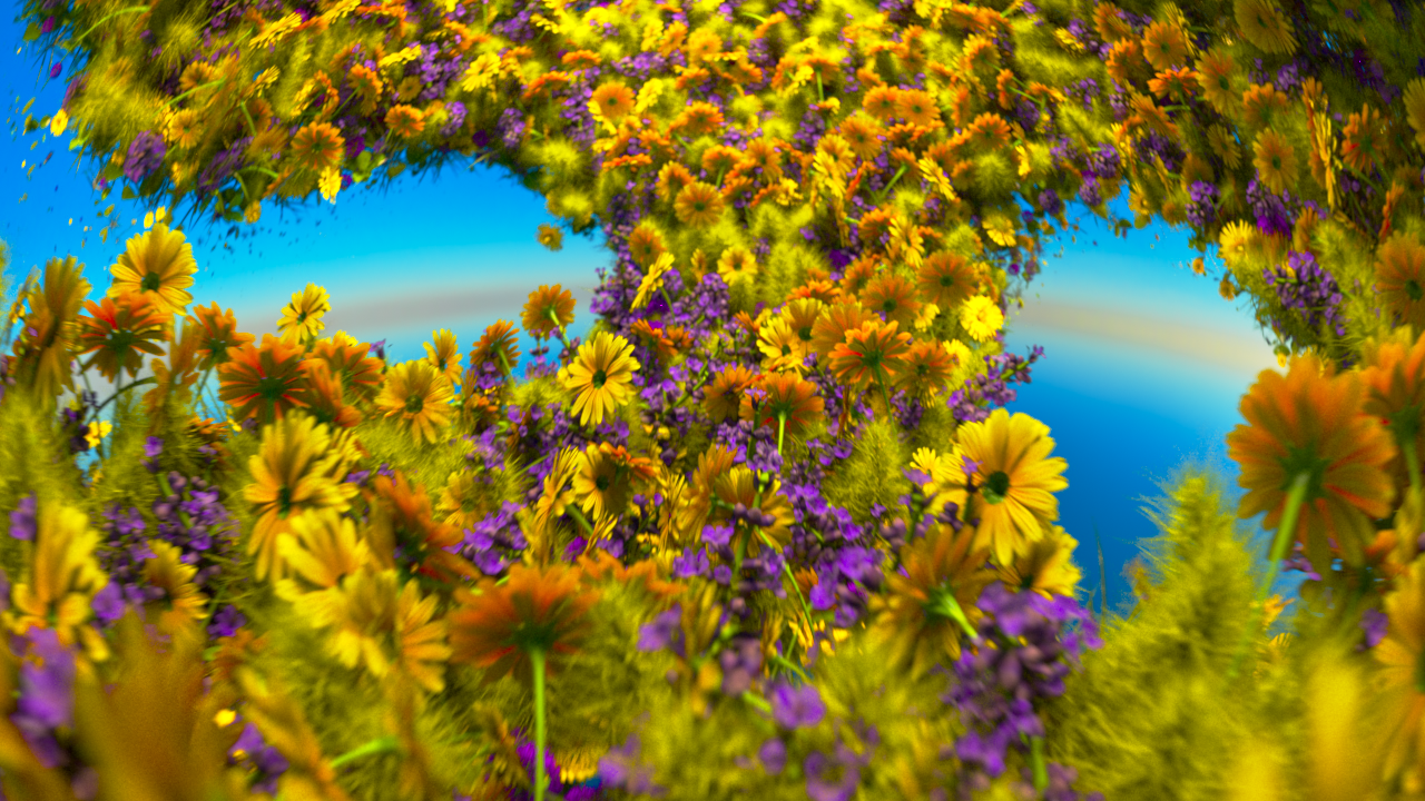 FishEyeFlower01_beauty_1_0226